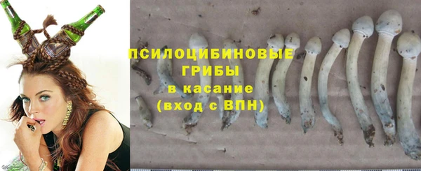 спайс Кодинск