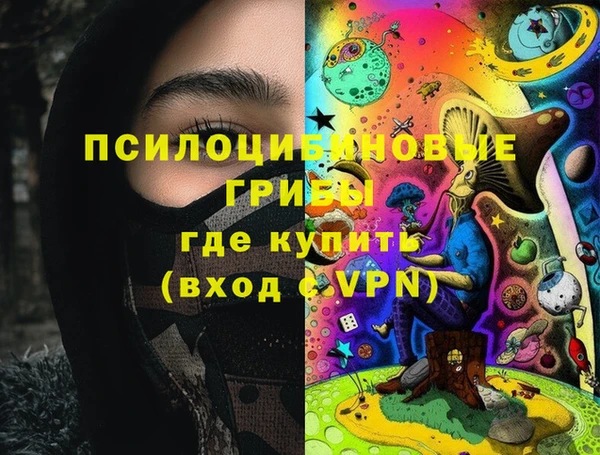 spice Козловка