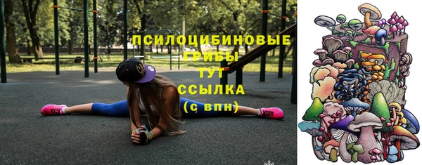 хмурый Козельск