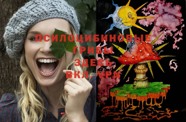 спайс Кодинск